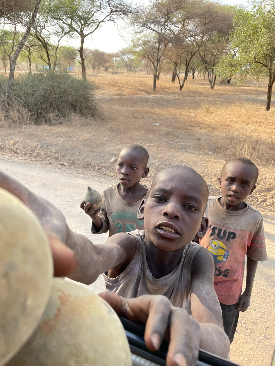 Children selling the fruit of the baobad we found on our way out of the safari
