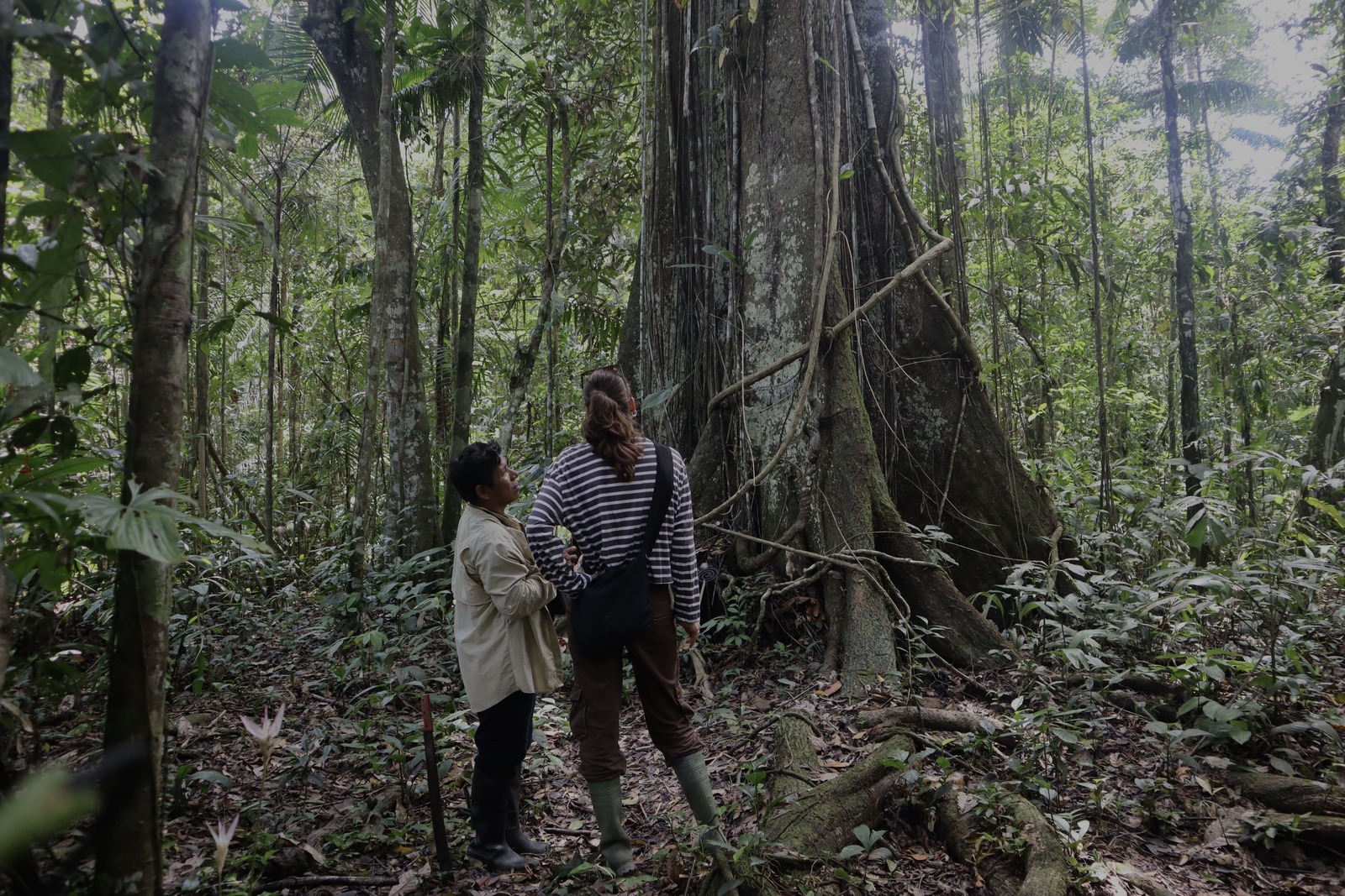 Excursión durante el tour de 3 días en el Amazonas en Perú