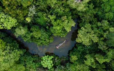 Mejor época para viajar al Amazonas en Perú