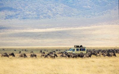 Precio de un Safari en Tanzania