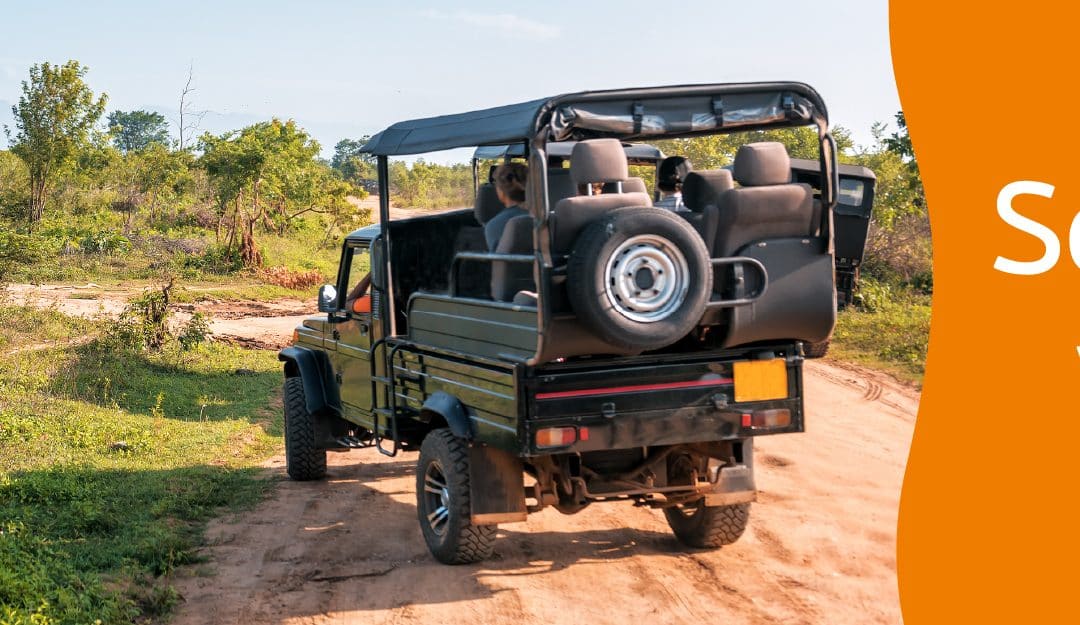 seguro de viaje durante safari en tanzania