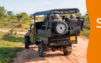 The best travel insurance for Tanzania: Chapka or IATI? – 2024