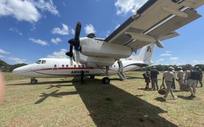 ¿Cómo ir de Kenia a Zanzíbar?