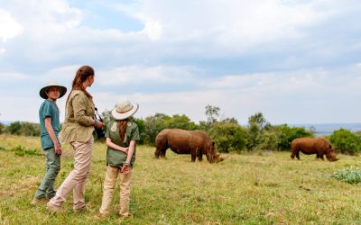 Hacer un Safari con niños. ¿Es recomendable?