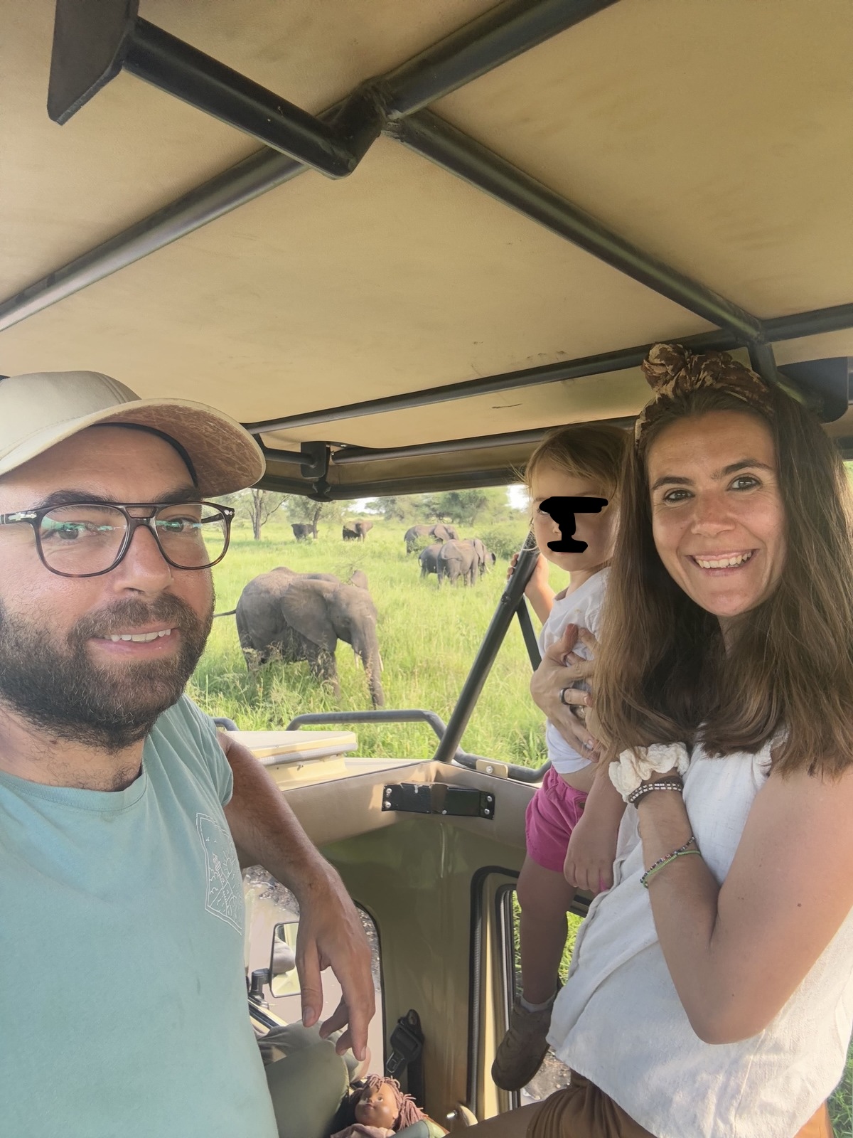 Grupo de elefantes durante el safari con nuestra hija.