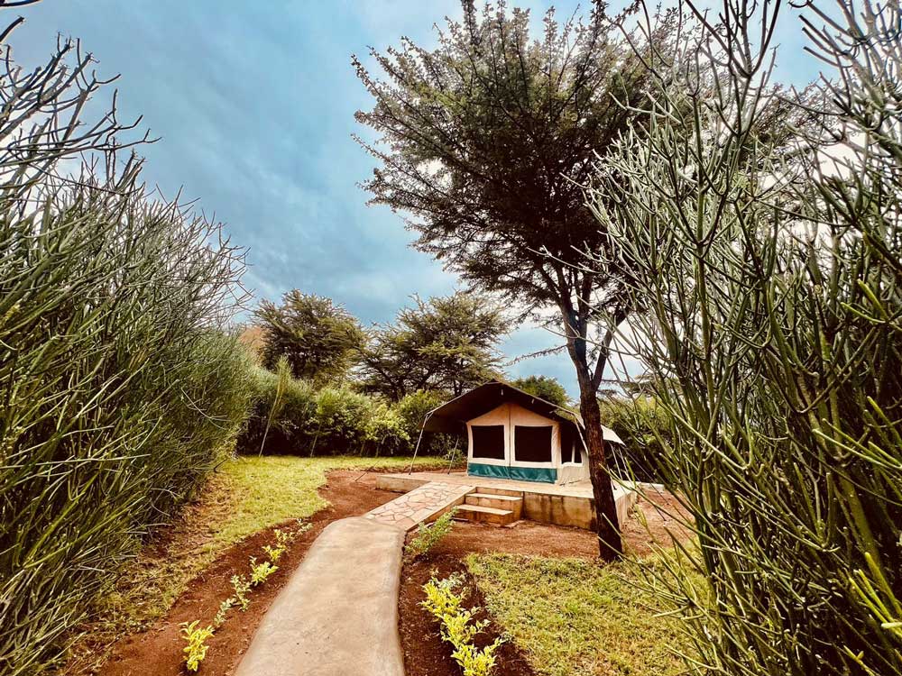 alojamiento Masái mara