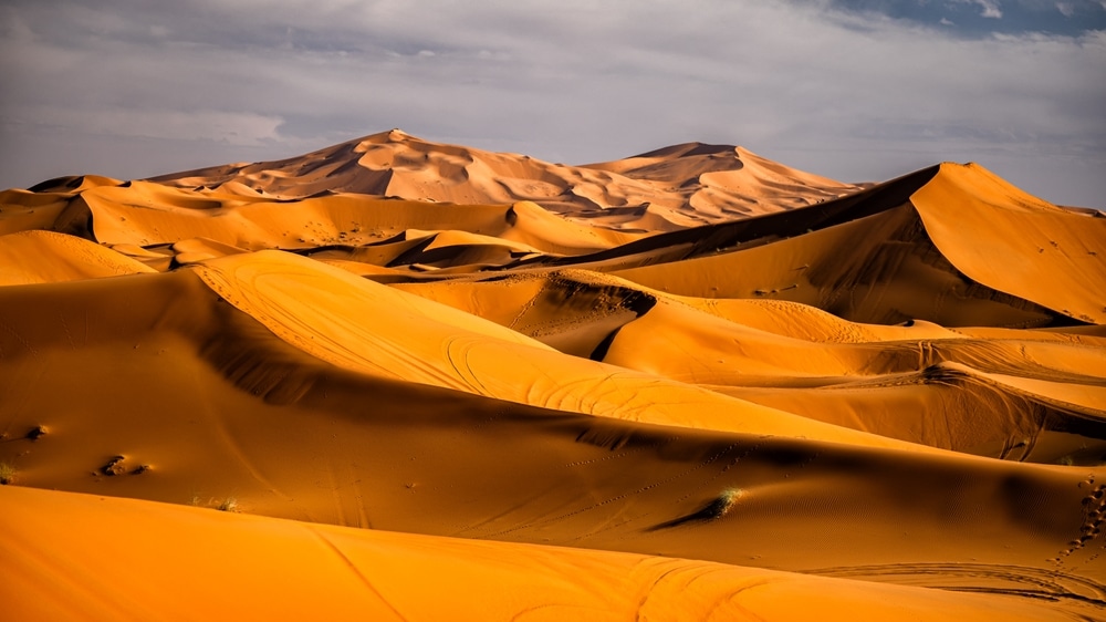 Sahara,Desert,Sand,Dunes,Background,Popular,Travel,Destination,Erg,Chebbi, Dunes desert Morocco