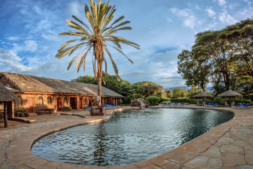 accommodation with swimming pool in Amboseli