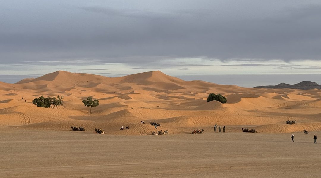 dunas erg chebbi marruecos