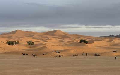 Desiertos en Marruecos  – ¿Cual es el mejor, Merzouga o Zagora?