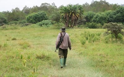 Parque Nacional de Arusha: guía completa para hacer un safari