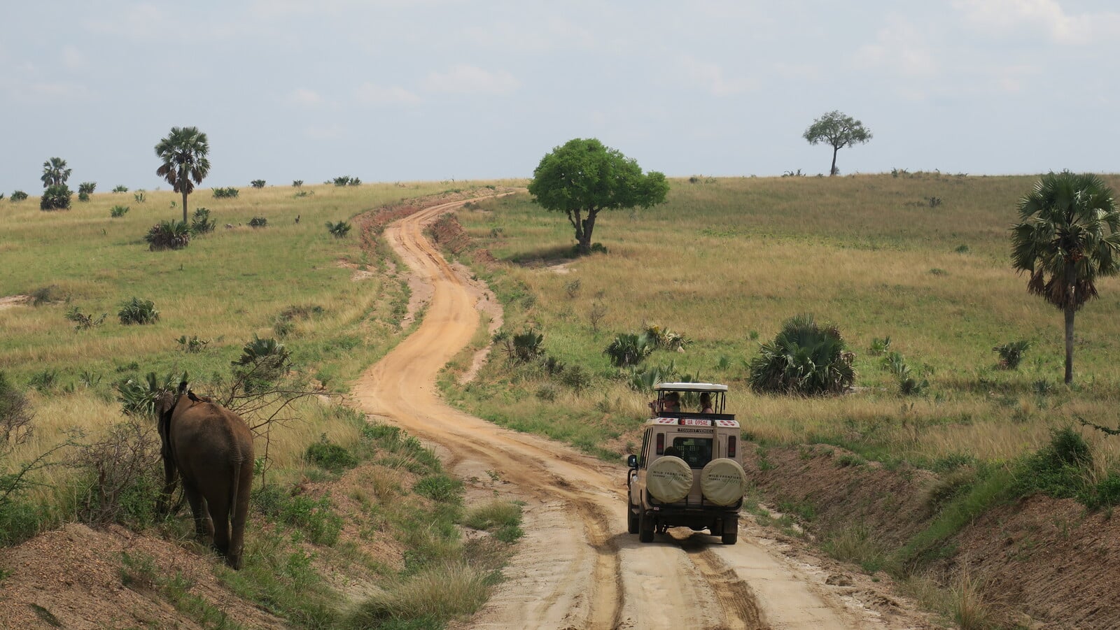 safari Murchinson Falls Uganda Viaje Uganda, lago Muhele