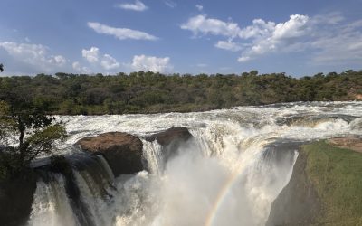 Safari en Murchison Falls: nuestra experiencia en el Parque Nacional de Uganda