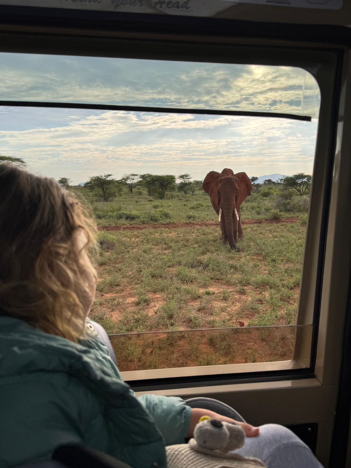 safari con niños en Samburu kenia