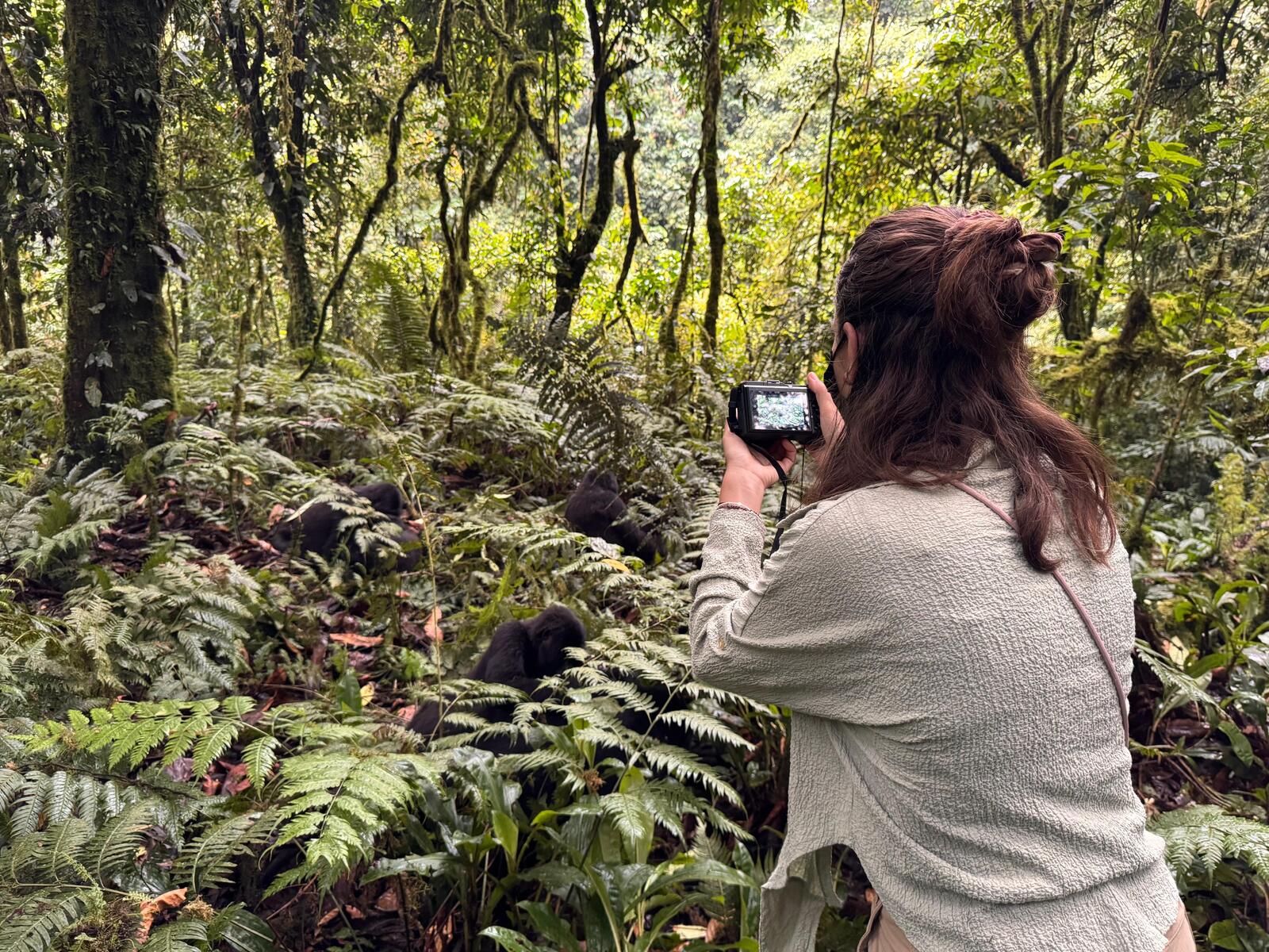 Raquel tomando fotos a los gorilas en Uganda